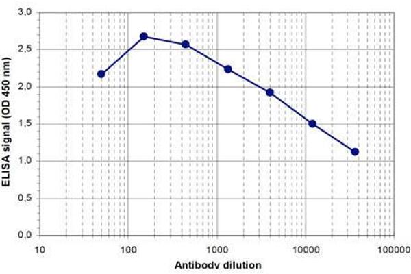 PAPOLA antibody  (C-Term)