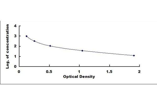 OGP ELISA Kit