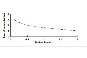 Typical standard curve (OGP ELISA Kit)