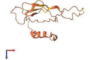 Family with Sequence Similarity 215, Member A (Non-Protein Coding) (FAM215A) (AA 1-114) protein (His tag)
