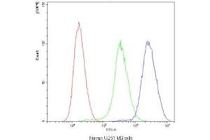 Flow Cytometry (FACS) image for anti-Purine Nucleoside Phosphorylase (PNP) (AA 161-189) antibody (ABIN5647213)