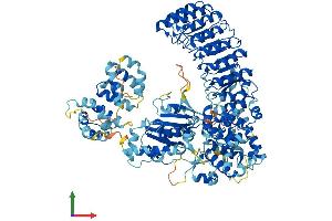 AlphaFold protein structure predicition of Mouse Recombinant Nod2 Protein, UniprotID Q8K3Z0