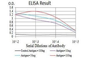 Black line: Control Antigen (100 ng),Purple line: Antigen (10 ng), Blue line: Antigen (50 ng), Red line:Antigen (100 ng) (ULK2 antibody  (AA 1-155))