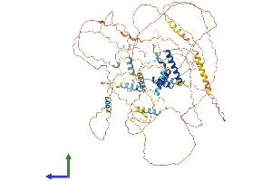 Protein Structure (PS) image for Bobby Sox Homolog (BBX) (AA 1-941) protein (His tag) (ABIN7552660)