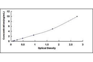 WNT10B ELISA Kit