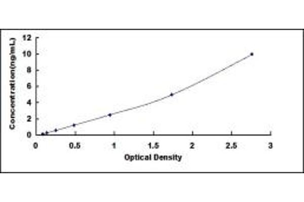 WNT10B ELISA Kit