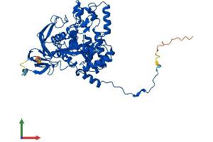 AlphaFold protein structure predicition of Mouse Recombinant Dpys Protein, UniprotID Q9EQF5
