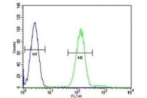 Myeloperoxidase antibody flow cytometric analysis of HL-60 cells (right histogram) compared to a negative control cell (left histogram). (Myeloperoxidase antibody  (AA 60-89))