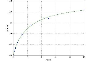 Meteorin, Glial Cell Differentiation Regulator-Like (METRNL) ELISA Kit