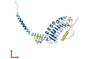 AlphaFold protein structure predicition of Human Recombinant LRRC2 Protein, UniprotID Q9BYS8