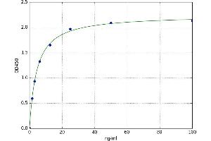 Hepatitis B Virus X-Interacting Protein (HBXIP) ELISA Kit