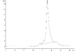 Size-exclusion chromatography-High Pressure Liquid Chromatography (SEC-HPLC) image for Adenomatosis Polyposis Coli Down-Regulated 1 (APCDD1) (AA 27-492) protein (His tag) (ABIN7273851)