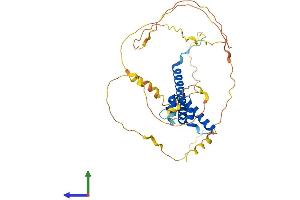 Protein Structure (PS) image for Neuronal Differentiation 1 (NEUROD1) (AA 1-356) protein (His tag) (ABIN7554669)