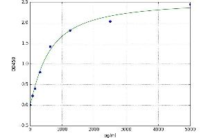 Uncoupling Protein 1 (Mitochondrial, Proton Carrier) (UCP1) ELISA Kit