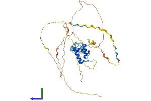 AlphaFold protein structure predicition of Human Recombinant EN1 Protein, UniprotID Q05925 (EN1 Protein (AA 1-392) (His tag))