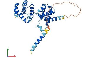 AlphaFold protein structure predicition of Mouse Recombinant Orc6 Protein, UniprotID Q9WUJ8 (ORC6 Protein (AA 1-262) (His tag))