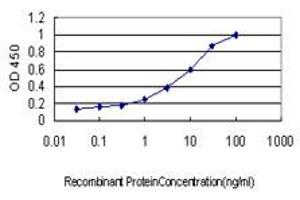 Detection limit for recombinant GST tagged GUCY2D is approximately 0. (GUCY2D antibody  (AA 521-630))