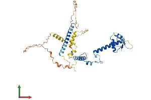 AlphaFold protein structure predicition of Mouse Recombinant Abra Protein, UniprotID Q8BUZ1 (ABRA Protein (AA 1-375) (His tag))