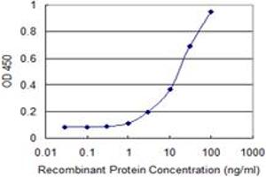 Detection limit for recombinant GST tagged TUBGCP5 is 0. (TUBGCP5 antibody  (AA 1-99))