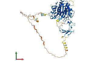 AlphaFold protein structure predicition of Human Recombinant APEX2 Protein, UniprotID Q9UBZ4 (APEX2 Protein (AA 1-518) (His tag))