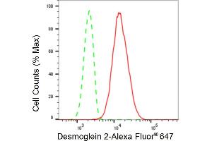 Flow cytometric analysis of Desmoglein 2 expression in HepG2 cells using Desmoglein 2 antibody (ABIN7798317), 1:2,000).