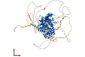 AlphaFold protein structure predicition of Human Recombinant FAM120C Protein, UniprotID Q9NX05 (FAM120C Protein (AA 1-1096) (His tag))