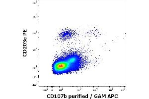 Flow cytometry multicolor surface staining of human anti-IgE antibody stimulated mononuclear cells stained using anti-human CD107b (H4B4) purified antibody (concentration in sample 1,67 μg/mL, GAM APC) and anti-human CD203c (NP4D6) PE antibody (20 μL reagent / 100 μL of peripheral whole blood). (LAMP2 antibody)