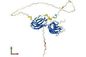 AlphaFold protein structure predicition of Human Recombinant DOC2B Protein, UniprotID Q14184 (DOC2B Protein (AA 1-412) (His tag))