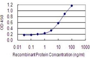 Detection limit for recombinant GST tagged RANGRF is 0. (RANGRF antibody  (AA 1-146))