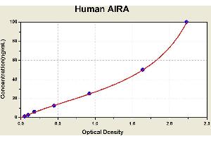 Anti-Insulin Receptor Antibody ELISA Kit