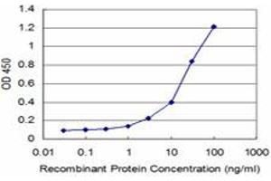 Detection limit for recombinant GST tagged AKT2 is approximately 1ng/ml as a capture antibody. (AKT2 antibody  (AA 100-189))