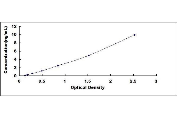 NT5C ELISA Kit