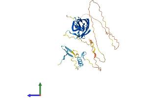 Protein Structure (PS) image for Family with Sequence Similarity 102, Member A (FAM102A) (AA 1-384) protein (His tag) (ABIN7547509)
