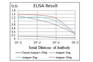 ELISA image for anti-Fibronectin antibody (ABIN1107235)