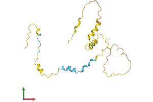 AlphaFold protein structure predicition of Mouse Recombinant Mycb Protein, UniprotID Q6P8Z1