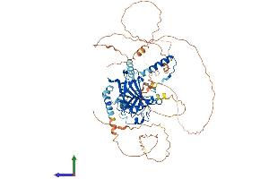 AlphaFold protein structure predicition of Human Recombinant TP73 Protein, UniprotID O15350 (Tumor Protein p73 Protein (AA 1-636) (His tag))