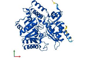 AlphaFold protein structure predicition of Human Recombinant PHYKPL Protein, UniprotID Q8IUZ5