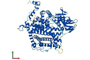 AlphaFold protein structure predicition of Human Recombinant ACOX2 Protein, UniprotID Q99424 (Acox2 Protein (AA 1-681) (His tag))