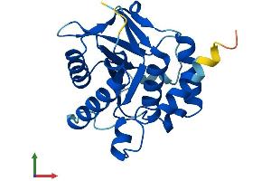 AlphaFold protein structure predicition of Mouse Recombinant Emc9 Protein, UniprotID Q9DB76 (EMC9 Protein (AA 1-206) (His tag))