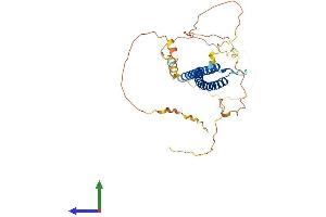 Protein Structure (PS) image for Transcription Factor EC (TFEC) (AA 1-347) protein (His tag) (ABIN7544433)
