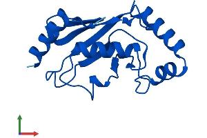 Protein Structure (PS) image for Ubiquitin-Conjugating Enzyme E2D 1 (UBE2D1) (AA 1-147) protein (His tag) (ABIN7544963)