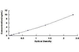 Typical standard curve (Huntingtin ELISA Kit)