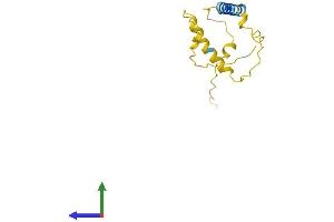 AlphaFold protein structure predicition of Human Recombinant C10orf105 Protein, UniprotID Q8TEF2 (C10orf105 Protein (AA 1-133) (His tag))