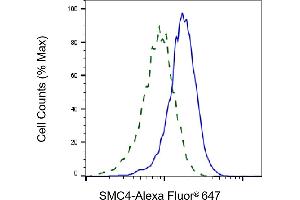 Validation of SMC4 knockdown using flow cytometry. (Recombinant SMC4 antibody)