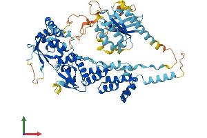 AlphaFold protein structure predicition of Mouse Recombinant Rhobtb3 Protein, UniprotID Q9CTN4 (RHOBTB3 Protein (AA 1-611) (His tag))