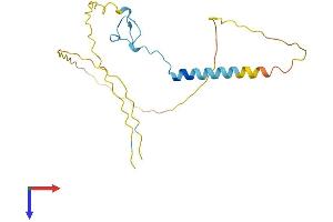 AlphaFold protein structure predicition of Human Recombinant ZCCHC10 Protein, UniprotID Q8TBK6