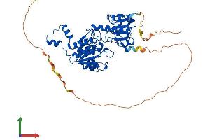 AlphaFold protein structure predicition of Human Recombinant CTBP1 Protein, UniprotID Q13363