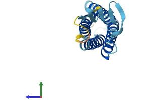AlphaFold protein structure predicition of Mouse Recombinant Emp1 Protein, UniprotID P47801 (EMP1 Protein (AA 1-160) (His tag))