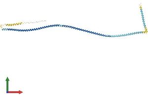 AlphaFold protein structure predicition of Mouse Recombinant Ccdc89 Protein, UniprotID Q9DA73