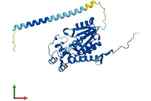 AlphaFold protein structure predicition of Mouse Recombinant Hs2st1 Protein, UniprotID Q8R3H7